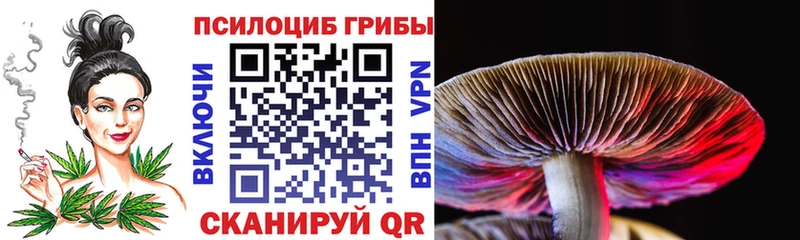 Галлюциногенные грибы Psilocybe  Унеча 